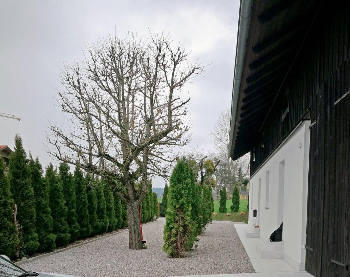 Muensing Naehe Starnberger See, Schoene Ferienwohnung, Gaestewohnung 125Qm Eg Und Og Kontaktfrei Münsing Exterior foto